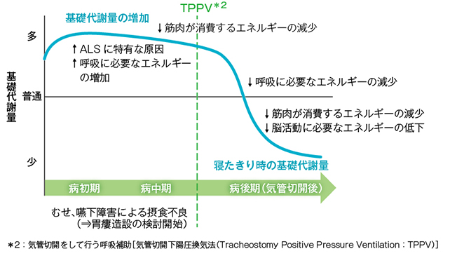 図1:基礎代謝量の変化と病期(イメージ図)