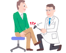ALSの検査：②ハンマーを使った腱反射