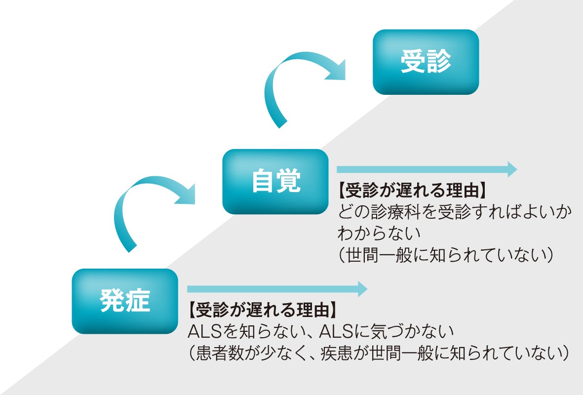 図：発症から受診までの流れ