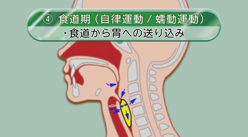 色同期